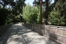 Enlarge photo 54