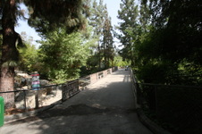 Enlarge photo 56