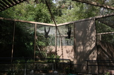 Enlarge photo 58