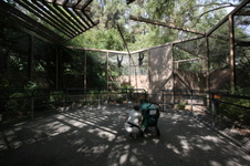 Enlarge photo 59
