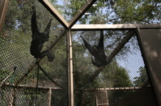 Enlarge photo 61