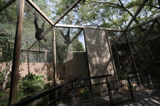 Enlarge photo 62