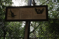 Enlarge photo 63