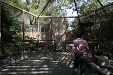 Enlarge photo 64
