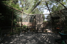 Enlarge photo 66
