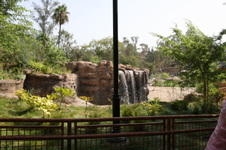 Enlarge photo 67