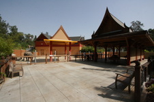 Enlarge photo 74