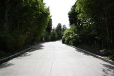 Enlarge photo 77