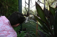 Enlarge photo 78
