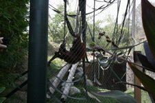 Enlarge photo 79