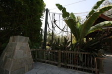 Enlarge photo 80