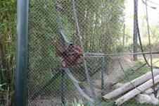 Enlarge photo 81