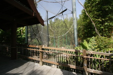 Enlarge photo 82