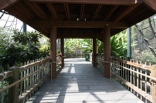 Enlarge photo 83