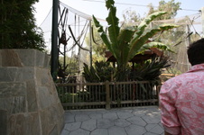 Enlarge photo 84
