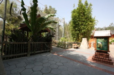 Enlarge photo 85
