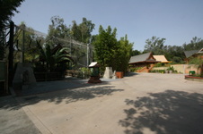Enlarge photo 87