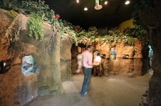 Enlarge photo 91