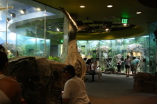 Enlarge photo 92