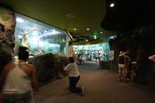 Enlarge photo 93