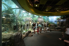 Enlarge photo 96