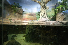 Enlarge photo 98