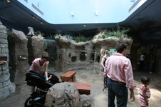 Enlarge photo 108