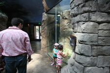Enlarge photo 109