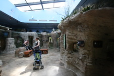 Enlarge photo 110