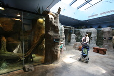 Enlarge photo 111