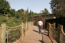 Enlarge photo 112