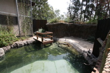 Enlarge photo 114