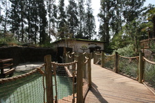 Enlarge photo 115