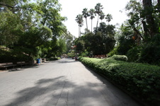 Enlarge photo 119