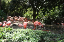 Enlarge photo 120