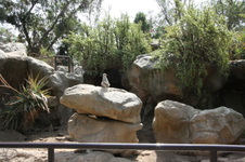 Enlarge photo 121