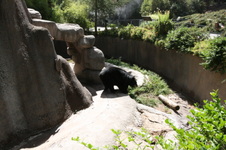 Enlarge photo 126