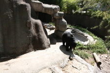 Enlarge photo 127