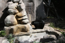 Enlarge photo 128