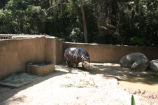 Enlarge photo 129