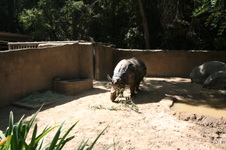 Enlarge photo 132