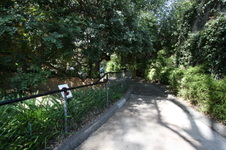 Enlarge photo 133