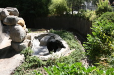 Enlarge photo 135