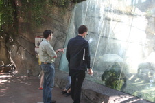Enlarge photo 136