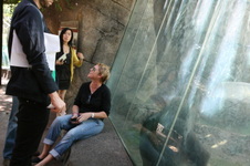 Enlarge photo 137