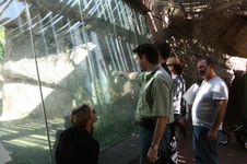 Enlarge photo 138