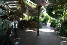 Enlarge photo 139