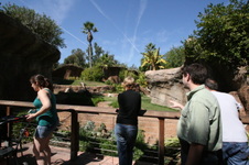 Enlarge photo 140