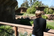 Enlarge photo 141
