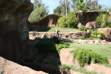 Enlarge photo 142